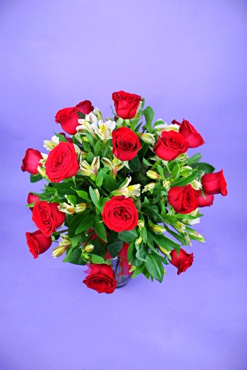 24 Rosas en Jarrón