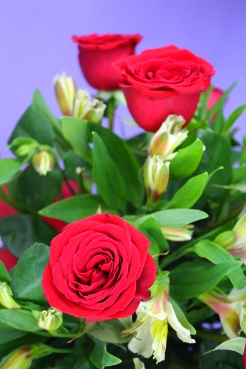 24 Rosas en Jarrón