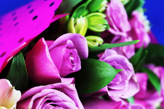 Ramo 24 Rosas Lila