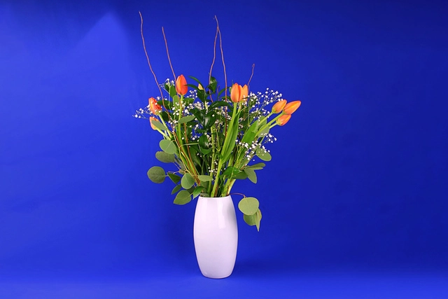 10 Tulipanes en Jarrón con baby y dólar híbrido.