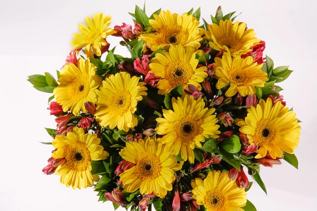 Jarrón con 12 Gerberas Amarillas y Alstroemerias