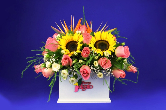 Caja con Girasol y Aves de Paraíso